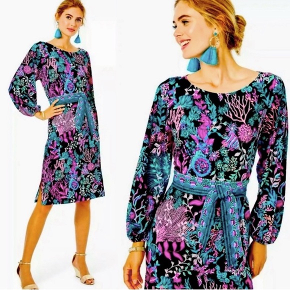 Lilly Pulitzer Dresses & Skirts - Lilly Pulitzer Shae Knee Length Dress Size XS No Belt
